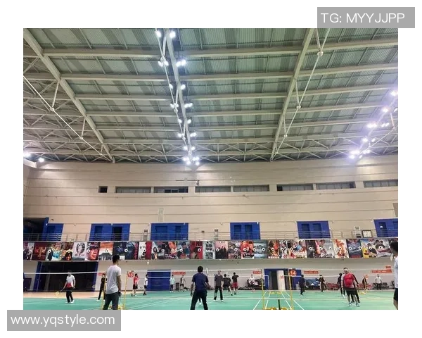 武汉羽毛球队运营模式解析及其在羽毛球领域的影响与发展策略探讨